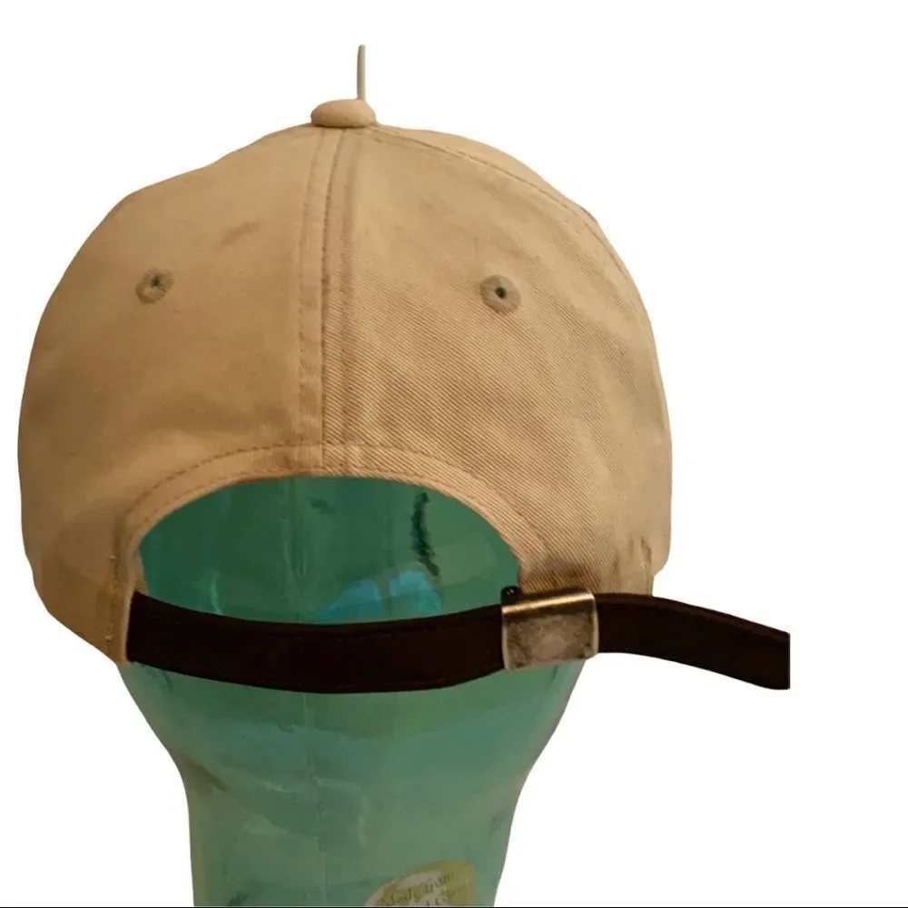 American Eagle Outfitters Distressed Baseball Cap